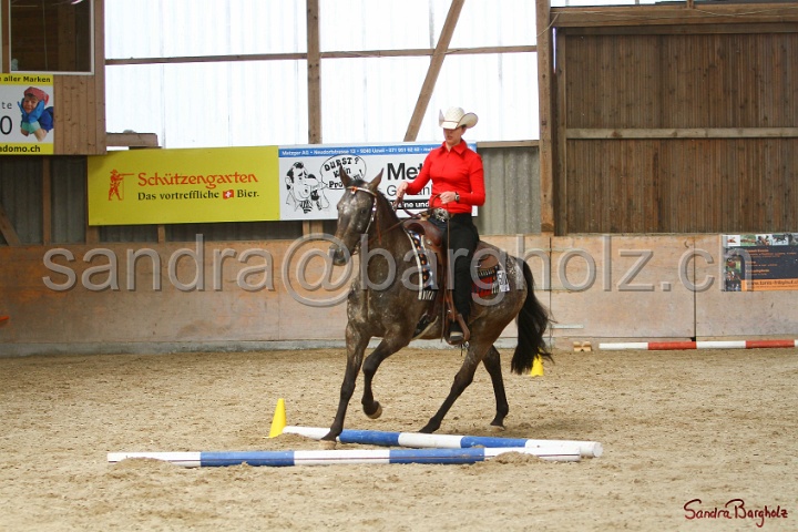 26-ApHC GT_164.jpg